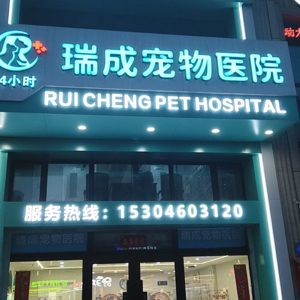 崔院长 · 总经理