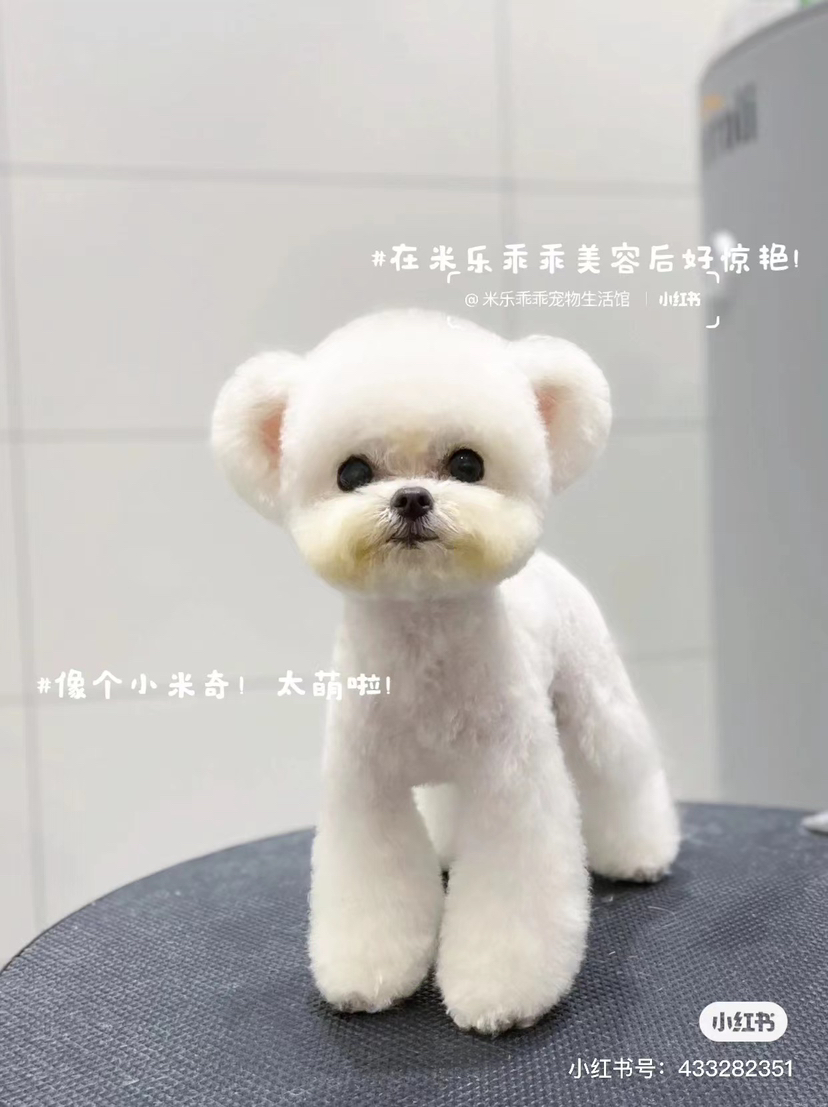 焦卫华