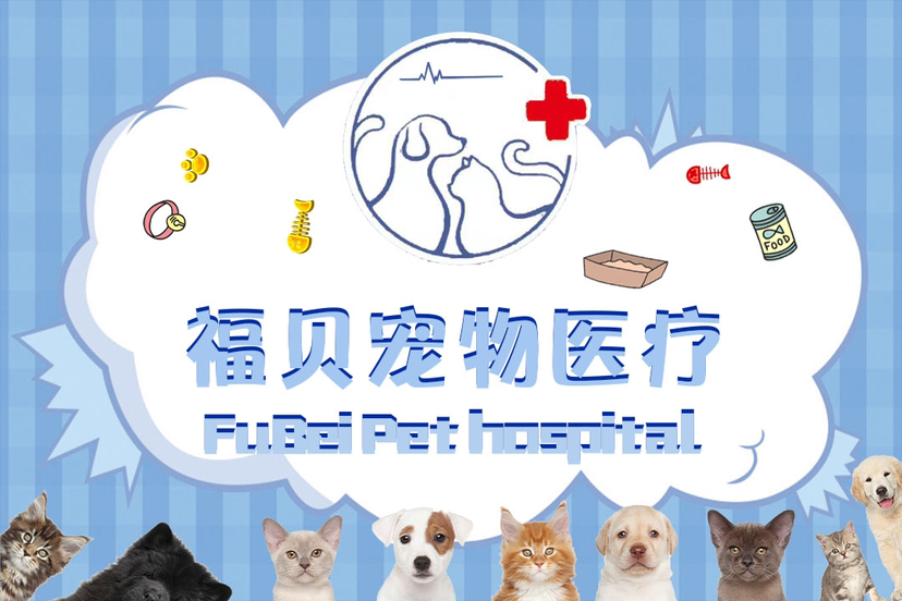 淮北市相山区福贝宠物医院经营部(个人独资)