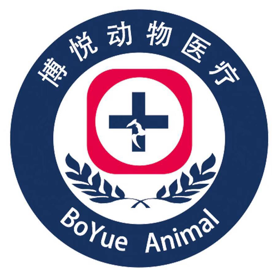 赵女士