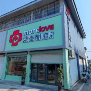 刘明勤