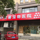 阳