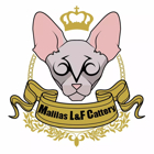 冯女士