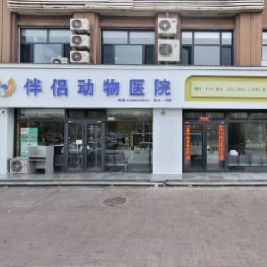 银川市兴庆区伴侣动物医院