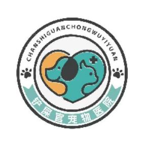 王东东