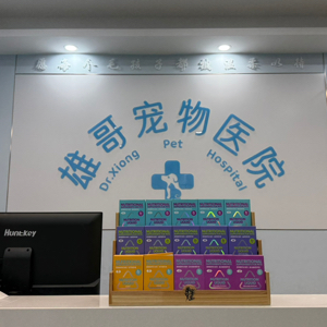 蒋玲玲