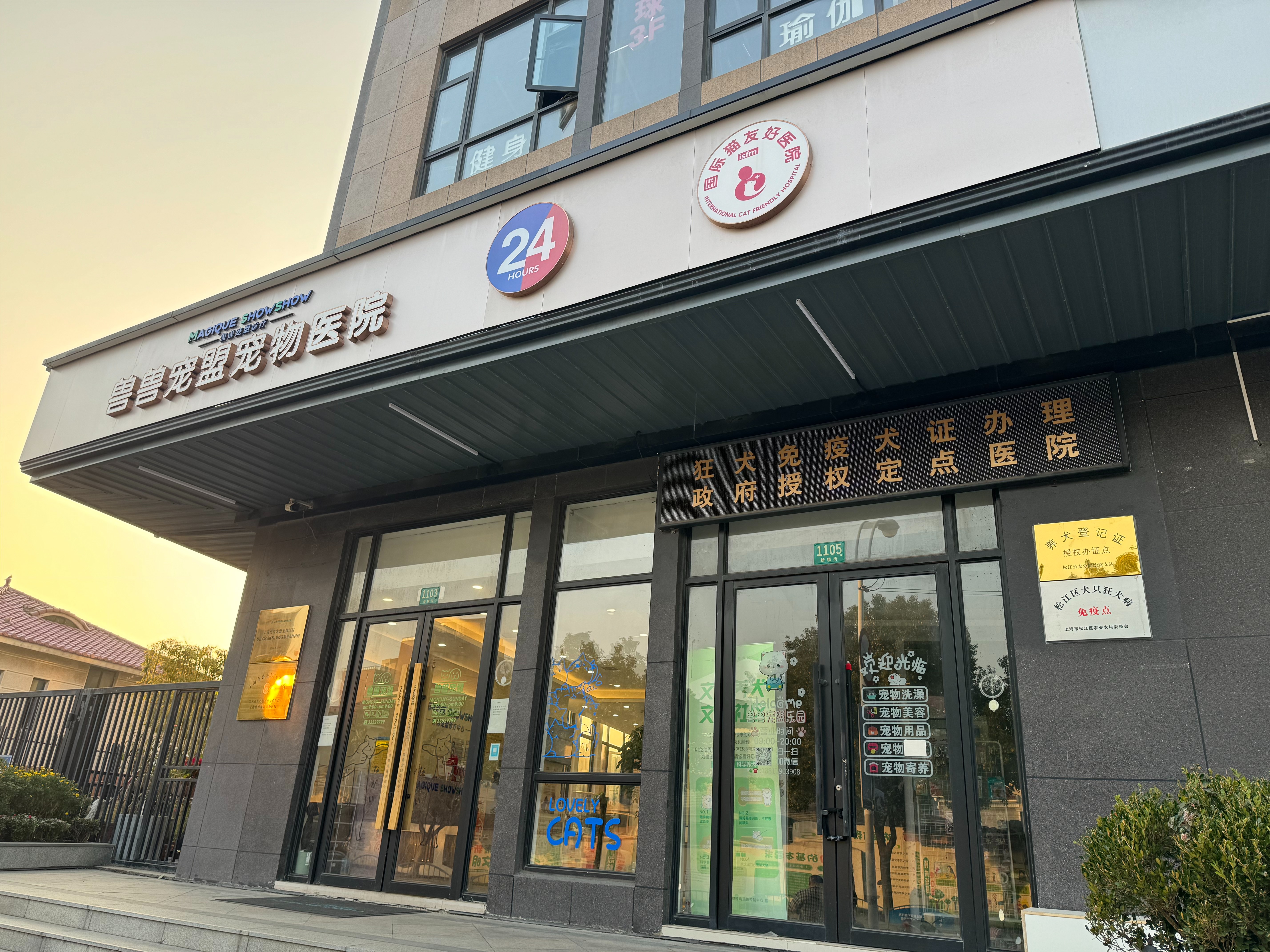 洋小姐 · 招聘专员
