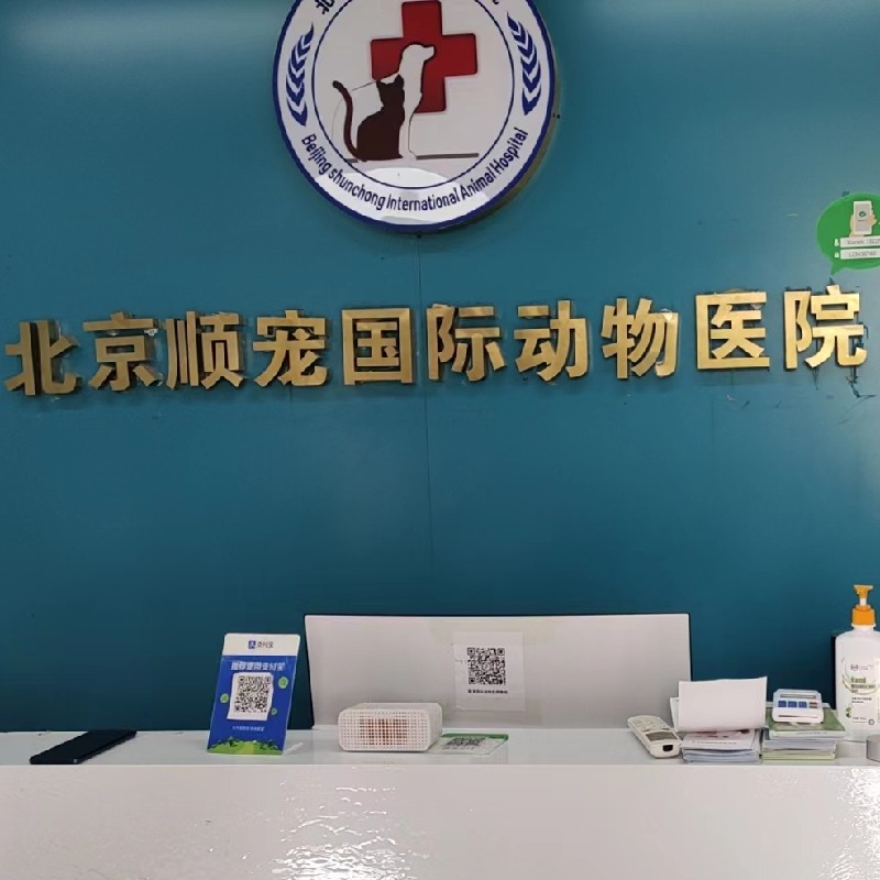 北京顺宠国际动物医院有限公司