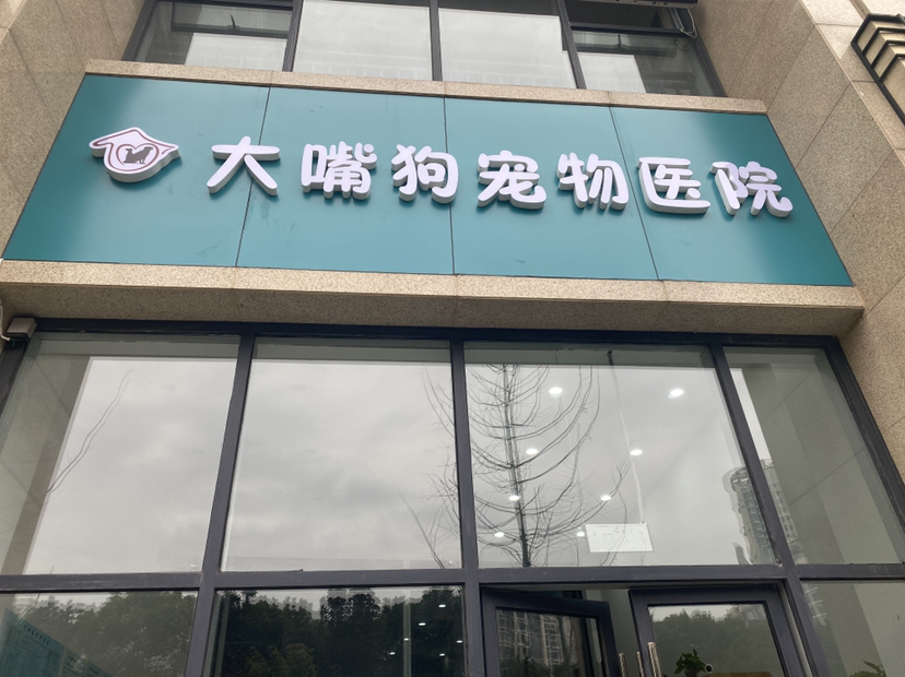 袁女士
