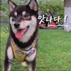马先生 · 老板