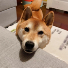陈小姐