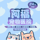 李晓波