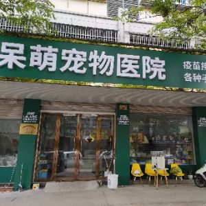 义乌市呆萌宠物医院