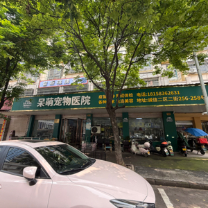 张艳梅