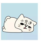 左正