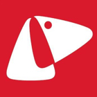 戴