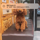 裴生
