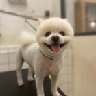 李