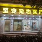 朱女士