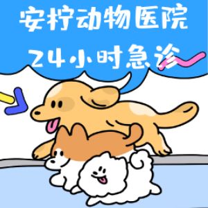 老板