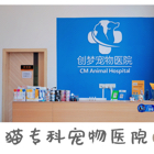 杨国进