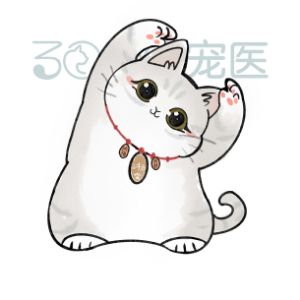 任文玉
