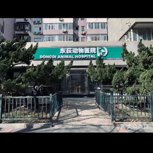 东荻动物医院(北京)有限公司