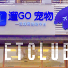 战先生