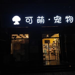杨佳辉