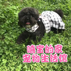 宝姐