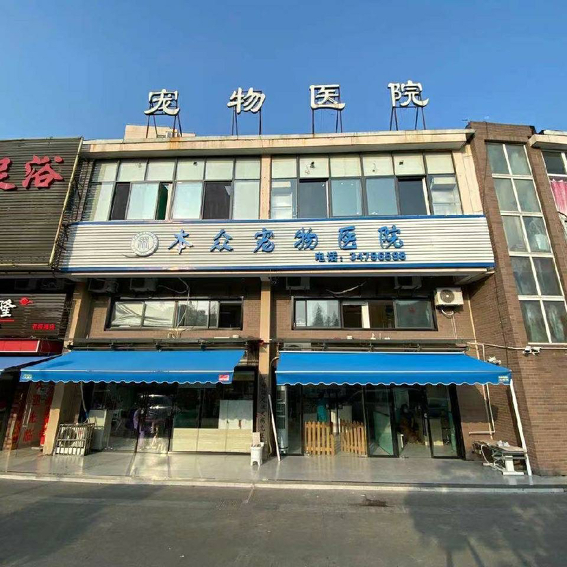 北京309医院、顺义区黄牛票贩子号贩子挂号的简单介绍 北京309医院、顺义区黄牛票贩子号贩子挂号的简单介绍