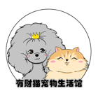 岳先生