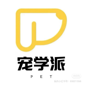 石先生