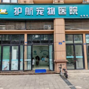 蒋医生