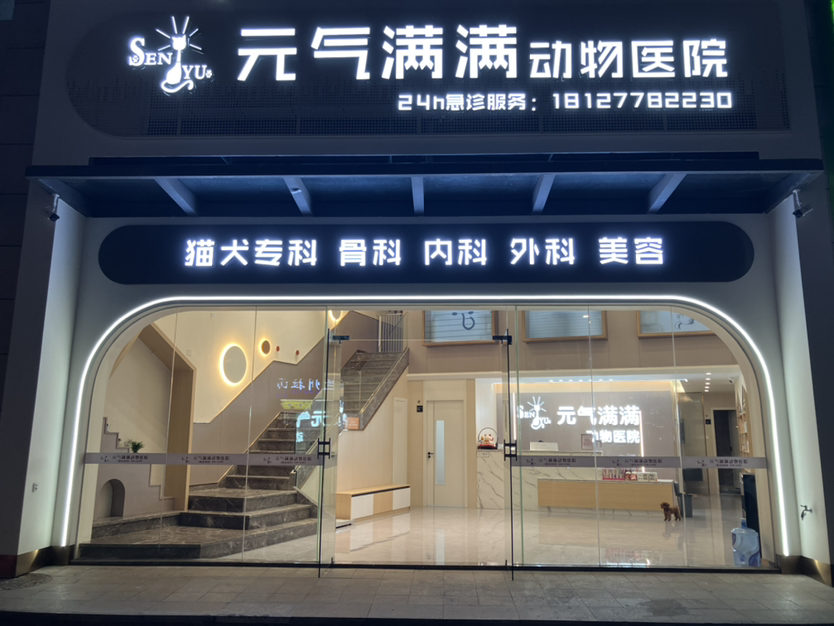 惠州市惠城区元气满满动物医院
