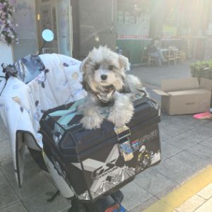 唐