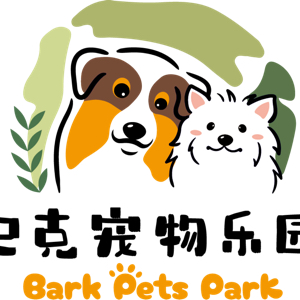 韩冬冬