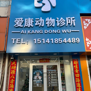 王鹏智