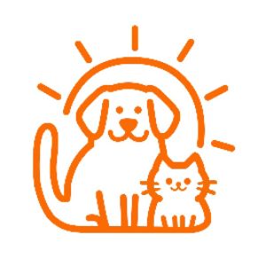 刘生