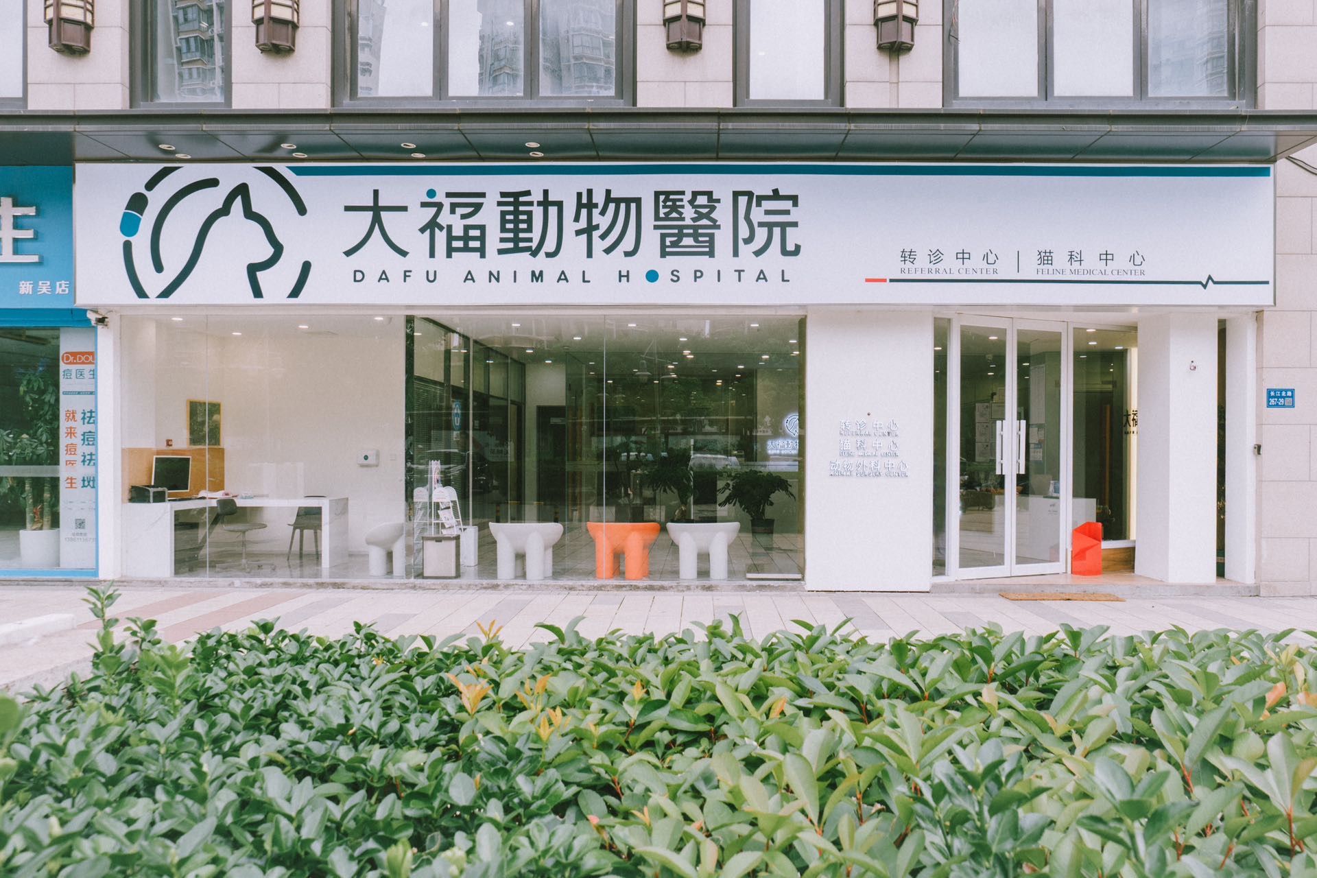 莫医生