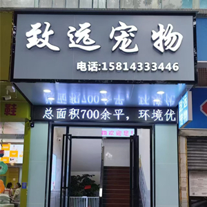 赵生