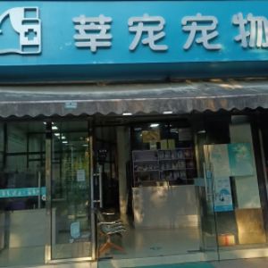 刘女士
