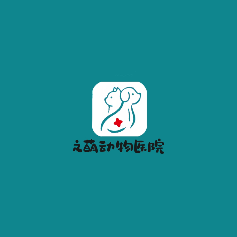 许晴