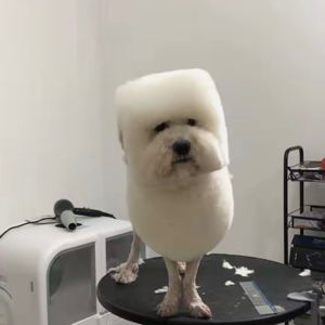 李先生