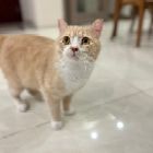 向