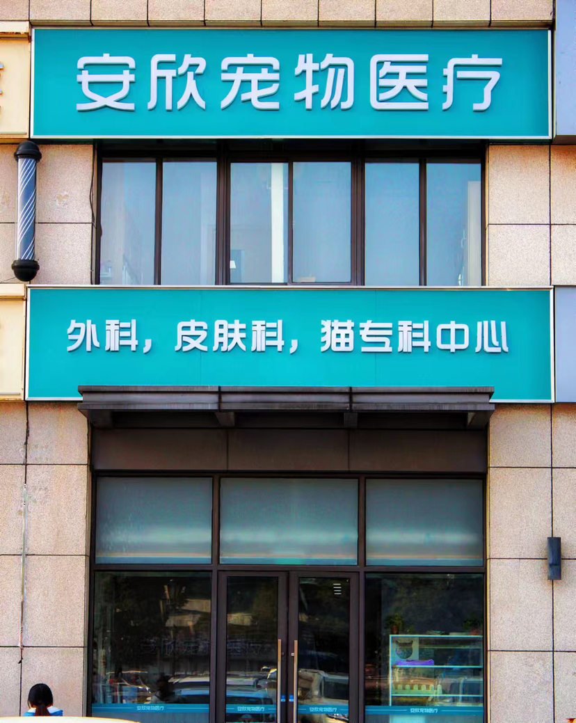 张医生