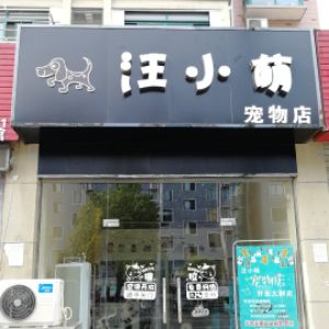 汪先生