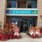 吴