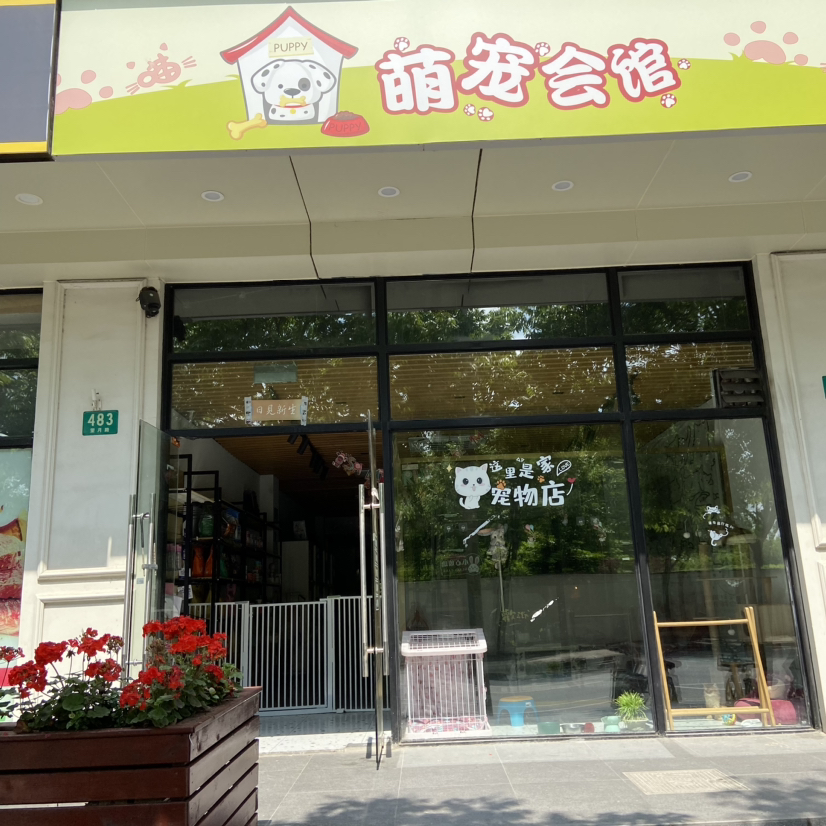 郑月娥