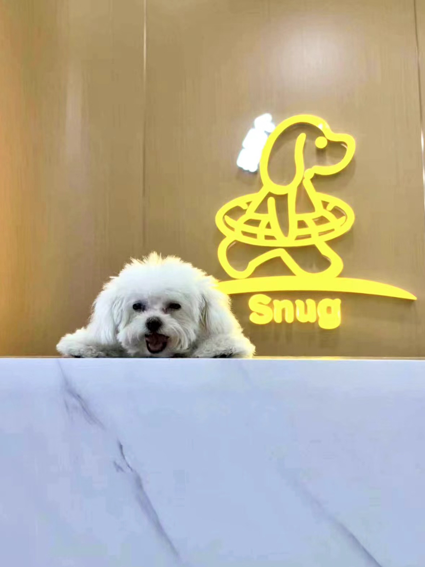 卢
